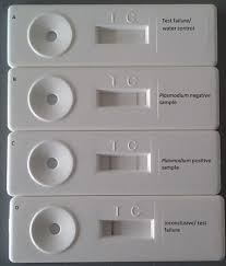 Three new effects tips how to live longer. Direct Blood Pcr In Combination With Nucleic Acid Lateral Flow Immunoassay For Detection Of Plasmodium Species In Settings Where Malaria Is Endemic Journal Of Clinical Microbiology