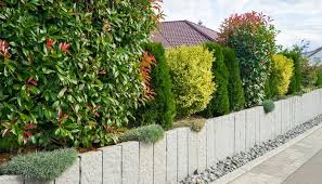 Eine hecke kann einem raum struktur geben. Abwechslungsreiche Hecke Mit Strauchern Und Baumen Als Sichtschutz Im Vorgarten Garten Hecken Vorgarten Garten Bepflanzen