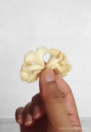 Kulat yang terjual biasanya kulat yang sudah dikeringkan. Coconut Island Coconut Islandr Twitter