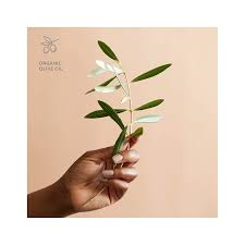 Cleansers, masks, moisturizers, serums, face oil, creams Dhc Deep Cleansing Oil Gesichtsreinigung 200 Ml Amazon De Beauty