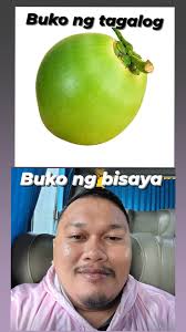 Let's welcome our new members! To the new members: Please be mindful of the  group rules as we are really suspending violators. Please do leave the  group now if you are not