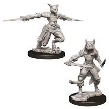 D D Tabaxi Rogue Female Modern Games Tabaxi rogue 5e build when not adventuring, tabaxi become skilled workers and salespeople. d d tabaxi rogue female