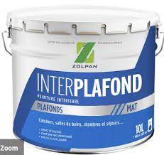 La marque de peinture zolpan a obtenu la marque nf environnement pour 4 de ses produits de peintures (blanc et teinte). Y A T Il Une Meilleure Marque De Peinture Blanche Ou De Sous Couche