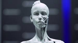 By cicciopiu, july 4, 2019 in kickstarter. Anatomy Tools Sculpting Reference Maquettes Youtube