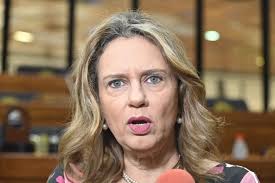 Esto dijo Rocío Vallejo sobre los puntos que hoy se debían tratar en  Diputados