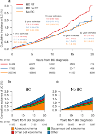 Lung cancer is a malignant tumor that develops with uncontrolled and abnormally proliferating altered cell groups, in the lung tissue. Risk Of Primary Lung Cancer After Adjuvant Radiotherapy In Breast Cancer A Large Population Based Study Npj Breast Cancer