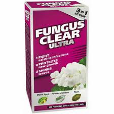 Check spelling or type a new query. Plant Rose Fungus Clear Concentrate Black Spot Rust Mildew Killer Flower Garden 5010272090185 Ebay