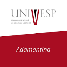 A univesp tv é uma das ferramentas de tecnologia de informação e comunicação da universidade virtual do estado de são paulo (univesp), e visa a formação integral do cidadão. Univesp Polo Adamantina Posts Facebook