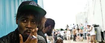 The Hybrid by Danny Brown