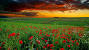 1080p High Definition 3d Hd Wallpapers