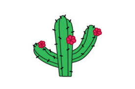3.draw a lot of short lines. Cactus Drawing Simple Easy Realistic And With Flower
