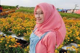 We did not find results for: Temukan Keindahan Berbagai Bunga Cantik Taman Ponggok Jombang