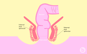 Anal Sex Training: 3 Tips to Train and Retrain Your Backdoor!