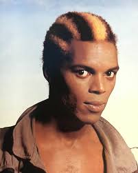 Remembering Roger Charlery aka Ranking Roger of The (English) Beat and  General Public