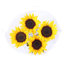 Order delivery or pickup from more than 300 retailers and grocers. Fresh Cut Flowers At Food Lion Instacart