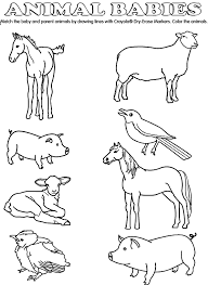Cute baby animals coloring niagarapaper woodland. Animal Babies Match Coloring Page Baby Coloring Pages Animal Coloring Books Baby Animals Pictures