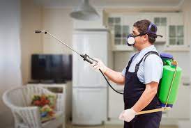 Watch this how to video to learn easy and effective ways of getting rid of small pests that come inside the house. Do It Yourself Home Pest Control Professional Home Search