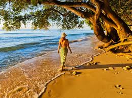 A charter flight is a special 2 you may stay somewhere overnight before continuing to your destination. Travel Trends For 2021 What You Can Expect From Your Holidays This Year