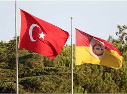 Biri Vatan Biri Sevda Turkbayragi Galatasaray Sereftirsenisevmek Papatyalar Resim Bitki