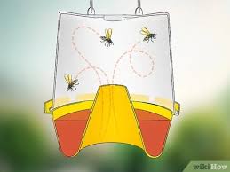 Saved by steve starr the brave cowboy. 10 Ways To Keep Wasps Away Wikihow