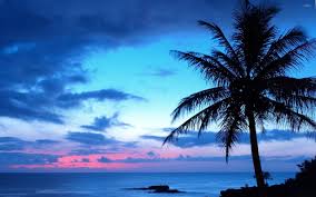 Scenery wallpaper aesthetic pastel wallpaper aesthetic backgrounds aesthetic wallpapers wallpaper art city aesthetic travel sky aesthetic aesthetic images purple aesthetic aesthetic photo aesthetic wallpapers photo wall collage picture wall indie photo beautiful world. Blue Sunset Beach Wallpapers Top Free Blue Sunset Beach Backgrounds Wallpaperaccess