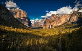 Looking for the best yosemite national park wallpaper? Nature Forest Mountains Yosemite National Park Yosemite Valley Hd Wallpaper Wallpaperbetter