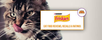 Consult the feeding chart on the back of your kitten's food packaging. Friskies Cat Kitten Food Coupons Review Recalls 2021