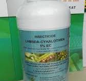 High Quality Insecticide Lambda-Cyhalothrin - Agrogreat ...