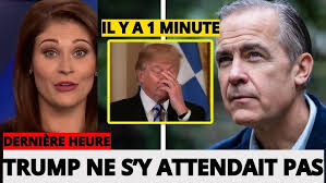 Quelque part au fond des bois... en janvier 2023...