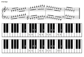 In e major, that means e, a and b. E Flat Major Scale For Piano Compton Piano Studio Warwick Piano Piano Scales Learn Piano