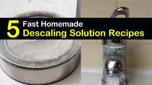 Check spelling or type a new query. Homemade Descaling Solution Recipes 5 Diy Tips To Descale Your Appliances