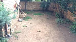 3 smart small space gardening ideas and tips for the city dwellers. Top 14 Garden Problems Solutions Diy Grounded Landscaping