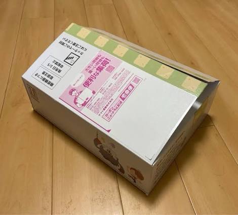 [PROTECTOR ONLY] Pokemon Pokopia Special Edition (R2/JP)