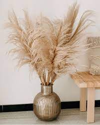Luxe B Pampas Grass Disenodedormitorio Grass Luxe Grass Decor Pampas Grass Decor Pampas Grass