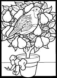 This year we are concentrating on the twelve days of christmas and our coloring pages are in theme with this popular christmas time song! A Partridge In A Pear Tree Christmas Coloring Pages Coloring Pages Christmas Illustration