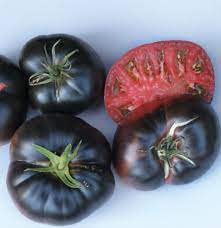 It can tolerate slightly acidic soils, and is most productive with ph 6.0 to 6.8. The Latest Greatest Tomatoes Finegardening