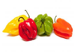 Piment Antillais Epices Huiles Et Condiments