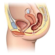 People may be able to manage the symptoms of endo. Endometriosis Brisbane Obstetrician Gynaecologist Dr Ken Law