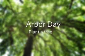 ¿cuántos días festivos faltan este año? Cuando Es El Dia Del Arbol 2021 Y Por Que Se Celebra Sobrehistoria Com