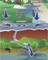 Pin On Environmental Education