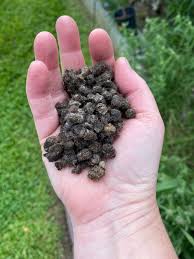 Apply as a top dress, but be careful not to over apply because this fertilizer can easily burn your plants! Different Organic Fertilizers Types Of Fertilizer For Organic Gardening