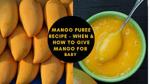 Mango Puree Recipe For Babies Mango For Baby Food