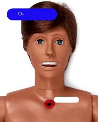Susie® Simon® Patient Care Simulator without Ostomy, Medium