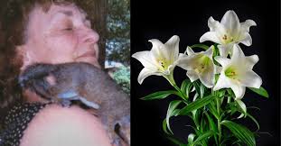 Yvonne “Bonnie” Paczkowski, 83, guardian and mentor, dies