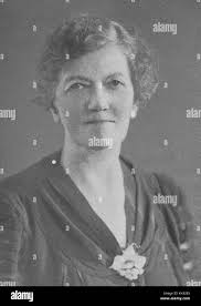 Sistema di biblioteche immagini e fotografie stock ad alta risoluzione