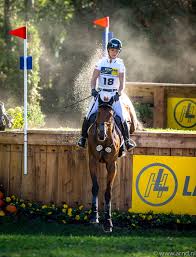 In jumping, veteran nick skelton , part of the gold medal winning great britain jumping team from 2012 , returned to take the individual title on big star , his 2012 gold winning horse. Julia Krajewski Pakt Wederom Duits Kampioenschap Eventing Horses Nl
