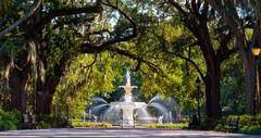 The oldest city in georgia and dripping with southern charm, savannah is a prime family vacation spot. 25 Fun Things To Do In Savannah With Kids Of All Ages
