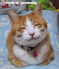 「犬笑顔」の画像検索結果