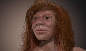 Meet Denny The Ancient Mixed Heritage Mystery Girl Ancient Humans Neanderthal Human