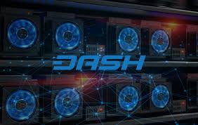 Best Dash Pools In 2019 Complete List What You Need To Know